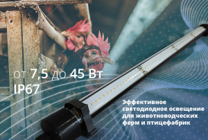Новые светильники для животноводческих хозяйств и птицефабрик